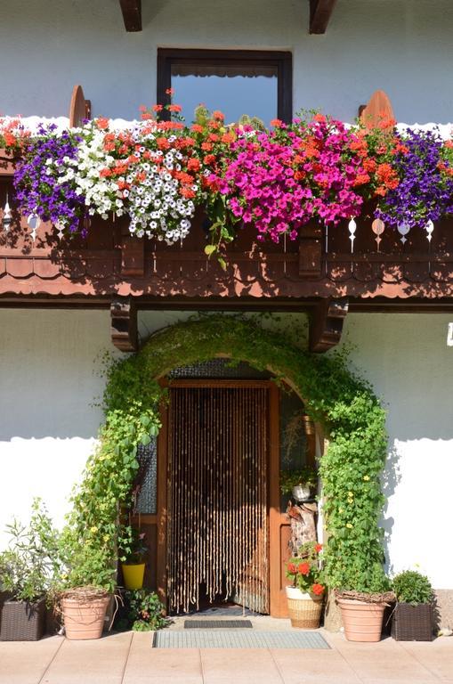 Hinterankerwald Appartement Walchsee Buitenkant foto