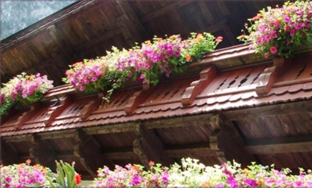 Hinterankerwald Appartement Walchsee Buitenkant foto