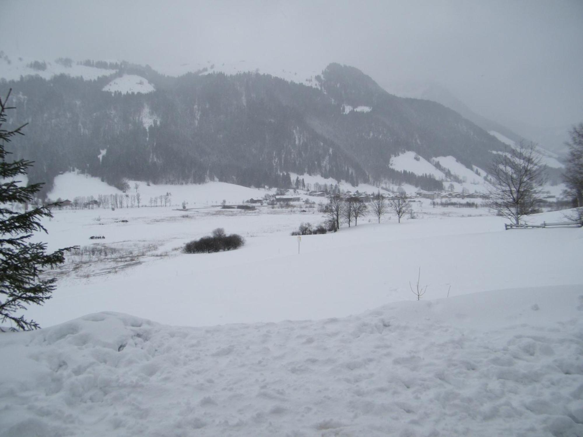 Hinterankerwald Appartement Walchsee Buitenkant foto