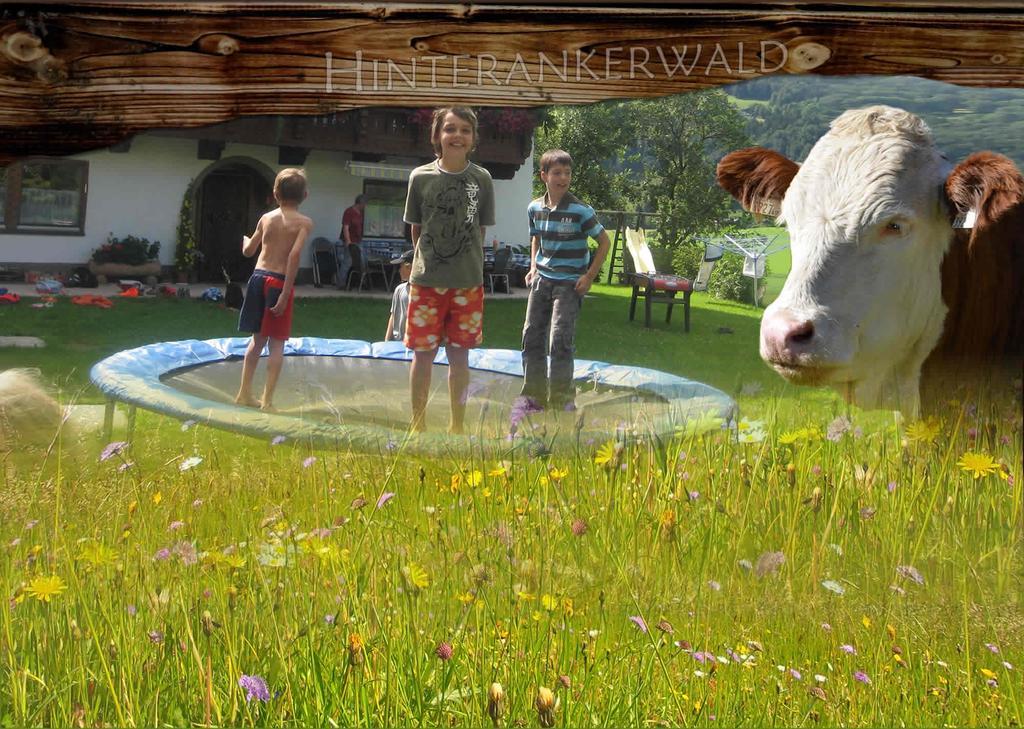 Hinterankerwald Appartement Walchsee Buitenkant foto